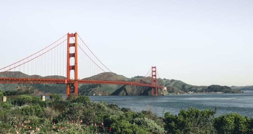 Marin July Real Estate Market Report 2020