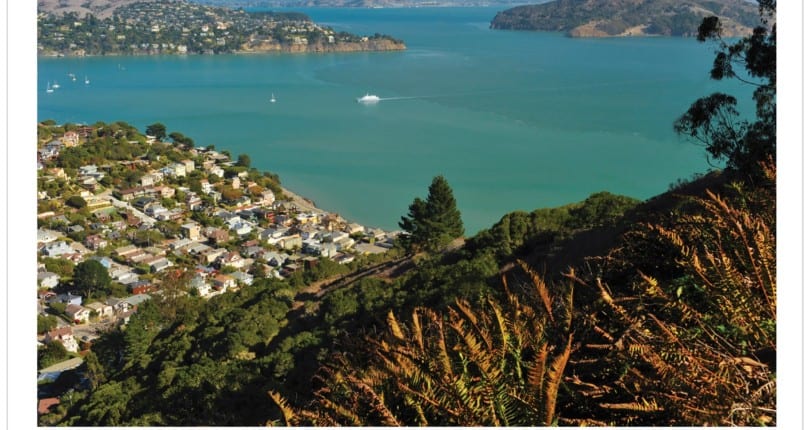 Marin June 2021 Real Estate Market Report