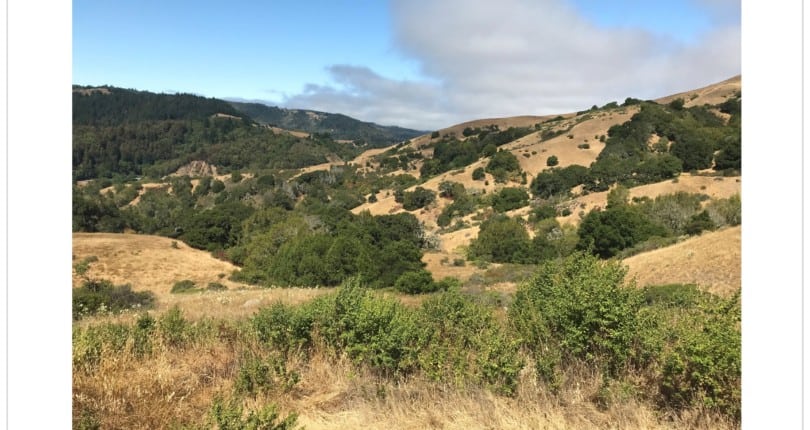 Marin July 2021 Real Estate Market Report