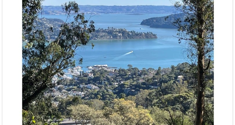 Marin April 2022 Real Estate Market Report