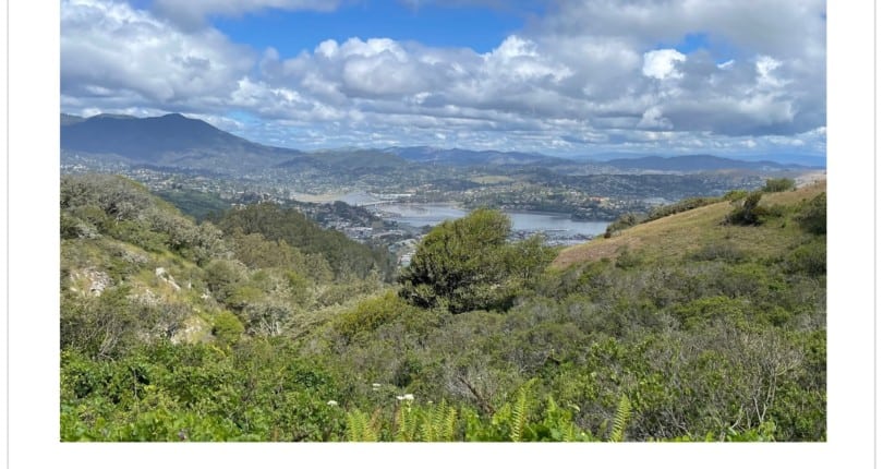 Marin May 2022 Real Estate Market Report