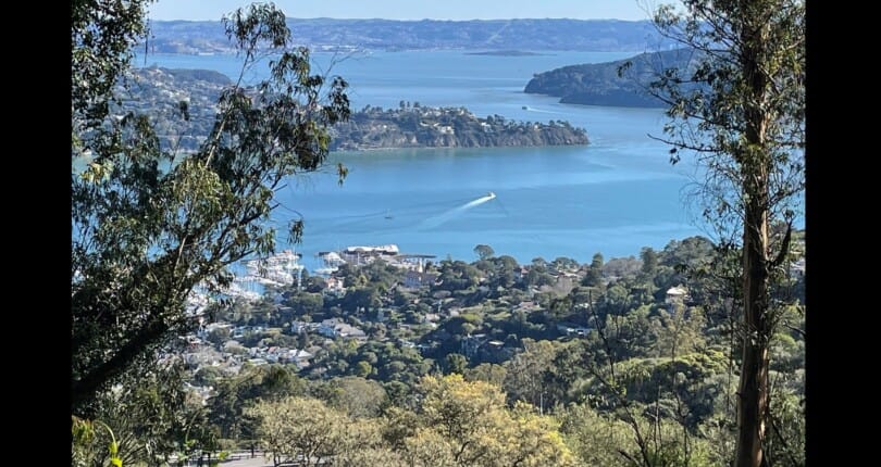 Marin March 2023 Real Estate Market Report
