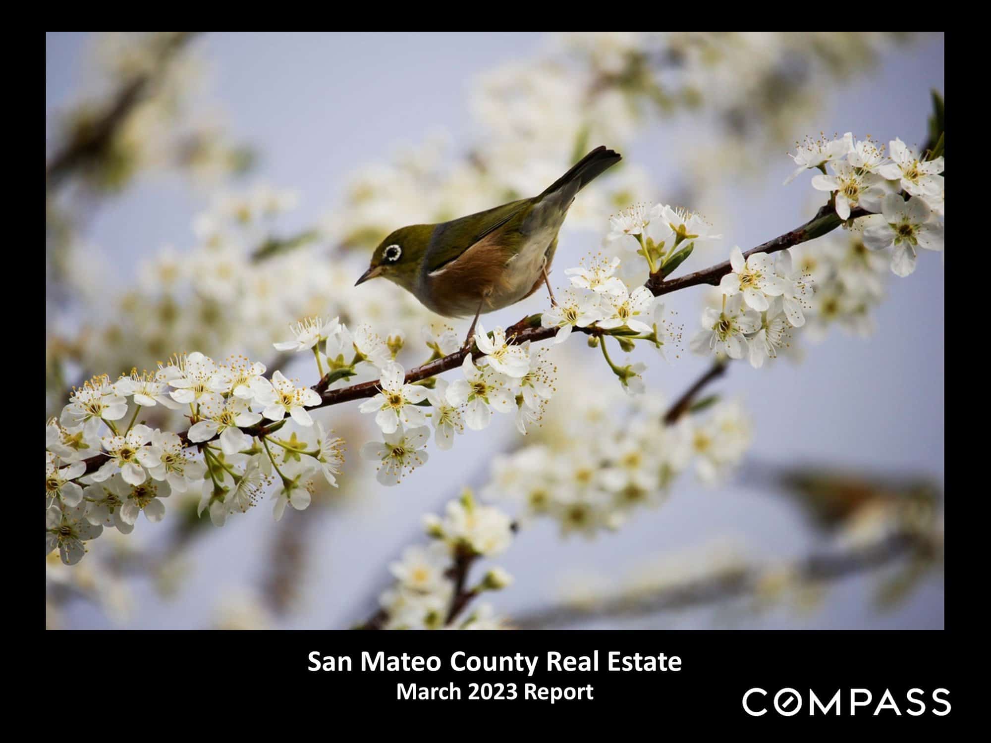 San Mateo March 2023 Real Estate Market Report